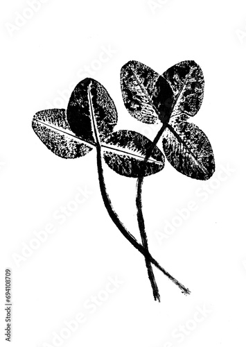 texture of leaf hand print on paper, leaf texture on a white background - botanical illustration