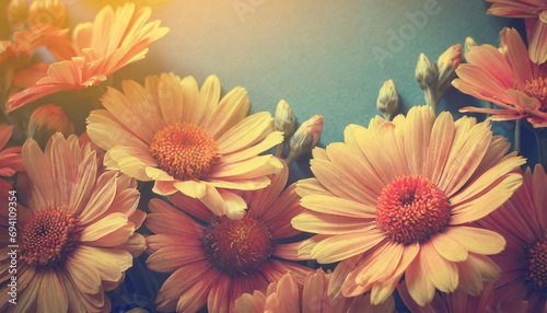 beautiful floral background for greeting or postcard toning