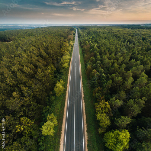 Green forest and straight asphalt road drone photo