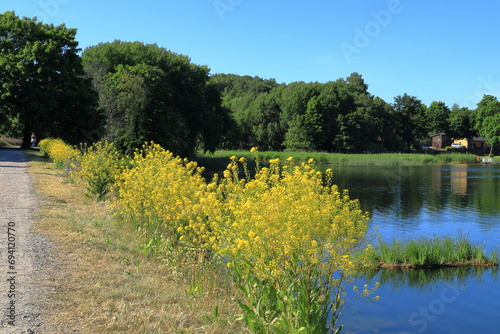 One Swedish lake called Brunnsviken a summer day in June 2023. Road. Solna, Stockholm, Sweden. photo