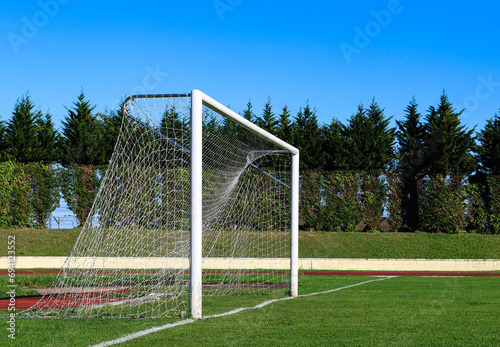 A professional football or soccer goal with space for text. © TopMicrobialStock