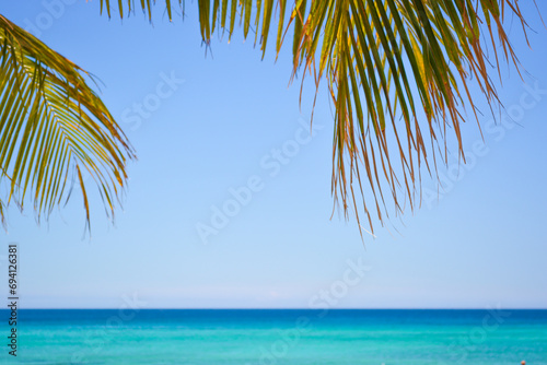 Coconut palm leaf against blue sea and beautiful beach tropical background. 