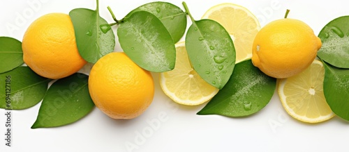 Fungal or bacterial infections harm citrus leaves. photo