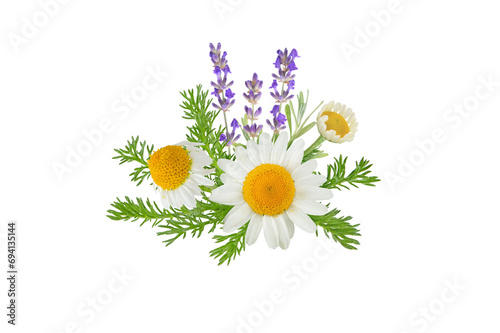 Chamomile and lavender flowers bunch isolated transparent png. White daisy in bloom and lavender branch. Chamaemelum nobile herbal and lavandula medicine plants.  photo