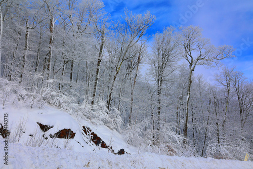 Winter landscape after a snow storm eastern township Quebec Canada