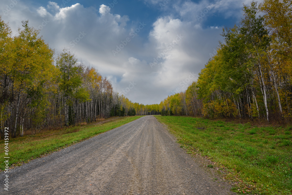 country road in autumn