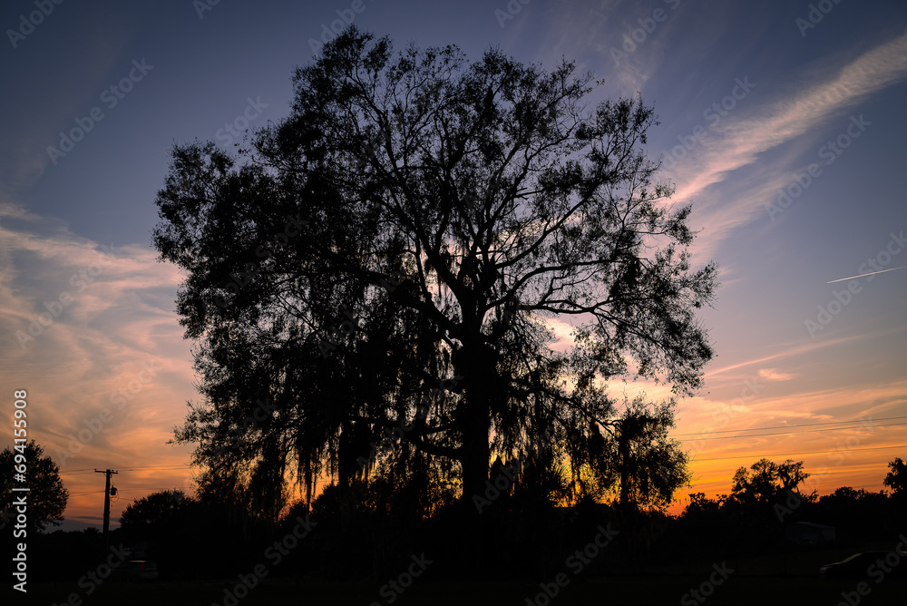 Sunset over Lithia Florida 