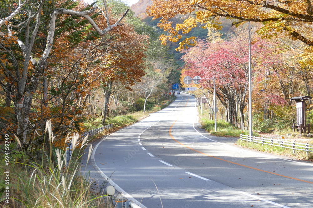 Obraz premium 奥飛騨温泉郷平湯 紅葉の風景