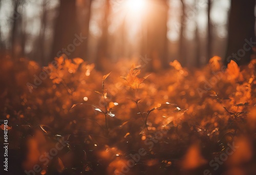 Blurred sun background stock photoBackgrounds  Autumn  Defocused  Orange Color  Abstract