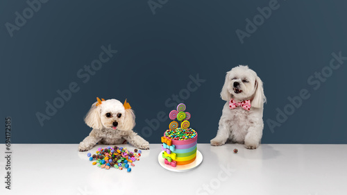 Photography Birthday Party time dogs and cakes, cupcakes, and candy