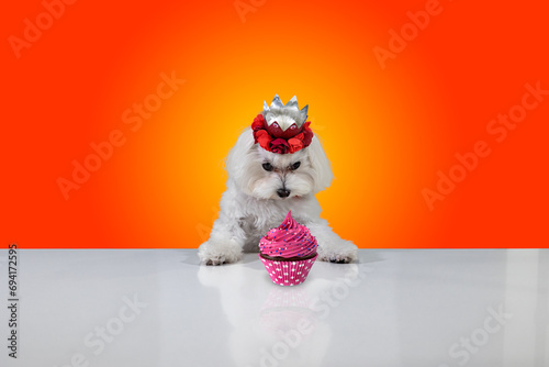 Canvas Print Birthday Party time dogs and cakes, cupcakes, and candy