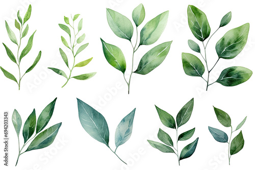 Set of Watercolor Tropical spring green leaves elements set isolated on transparent background, bouquets greeting or wedding card invitation, decoration clip art mock up.