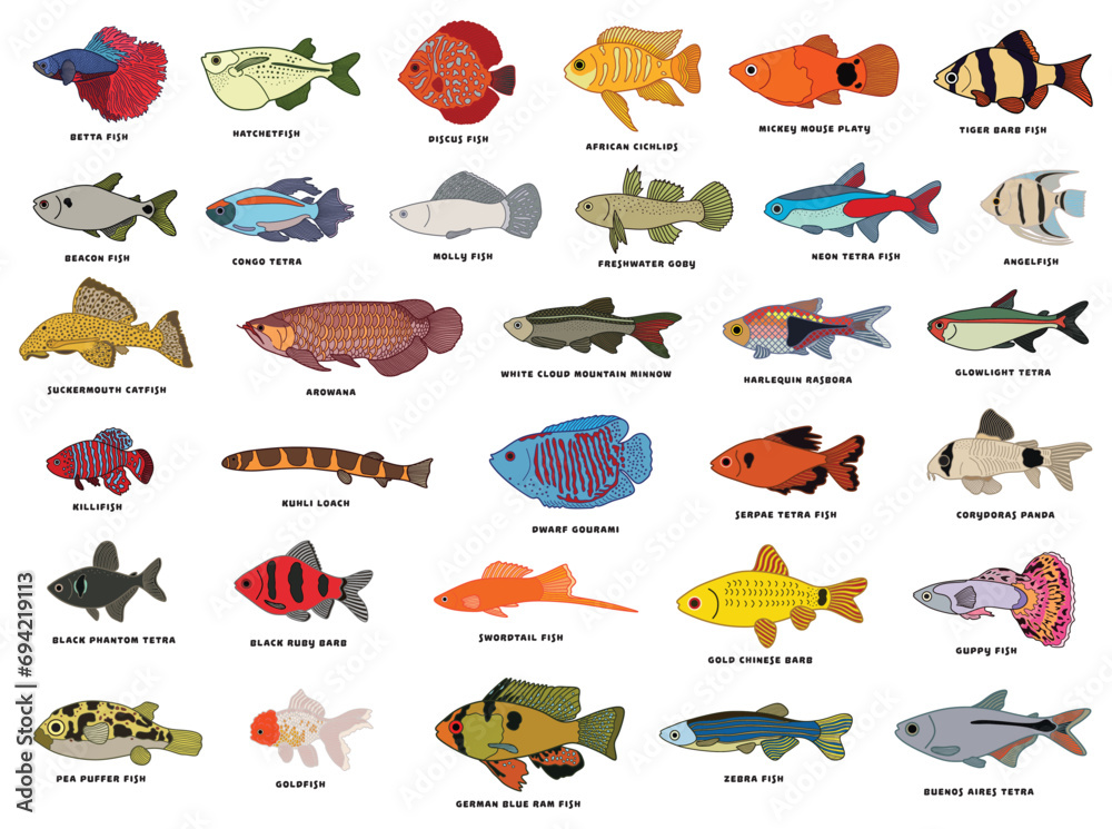 Obraz premium Vector illustration icon set of different fishes with the names icon Isolated on White Background