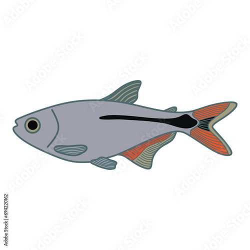 Cartoon Vector illustration buenos aires tetra fish icon Isolated on White Background