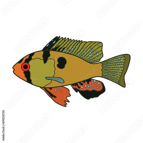 Cartoon Vector illustration german blue ram fish icon Isolated on White Background