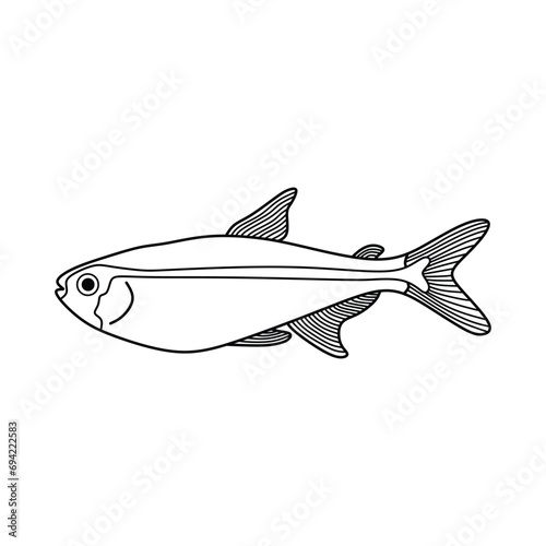 Hand drawn Cartoon Vector illustration glowlight tetra fish icon Isolated on White Background