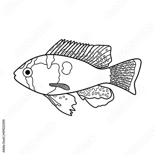 Hand drawn Cartoon Vector illustration german blue ram fish icon Isolated on White Background