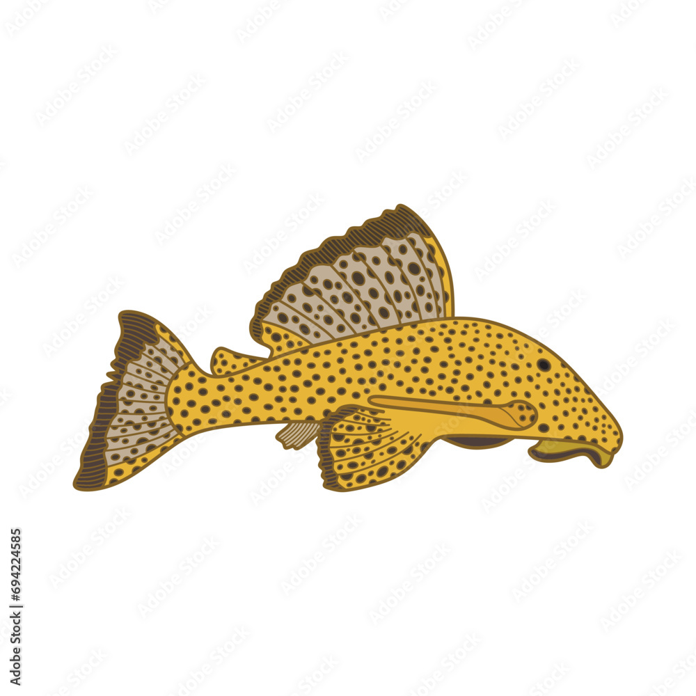 Cartoon Vector illustration suckermouth catfish icon Isolated on White Background - obrazy, fototapety, plakaty 