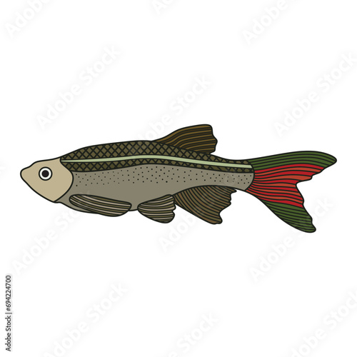 Cartoon Vector illustration White Cloud Mountain Minnow fish icon Isolated on White Background