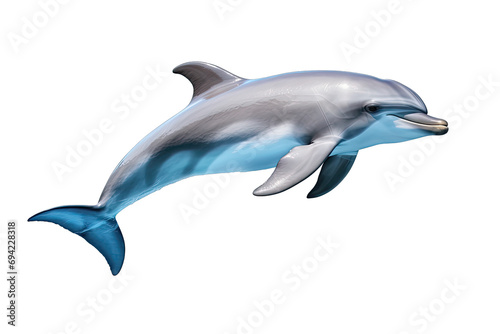 beautiful dolphin isolated transparent background © Barra Fire
