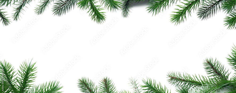 Festive Christmas Background with Pine Branches Transparent