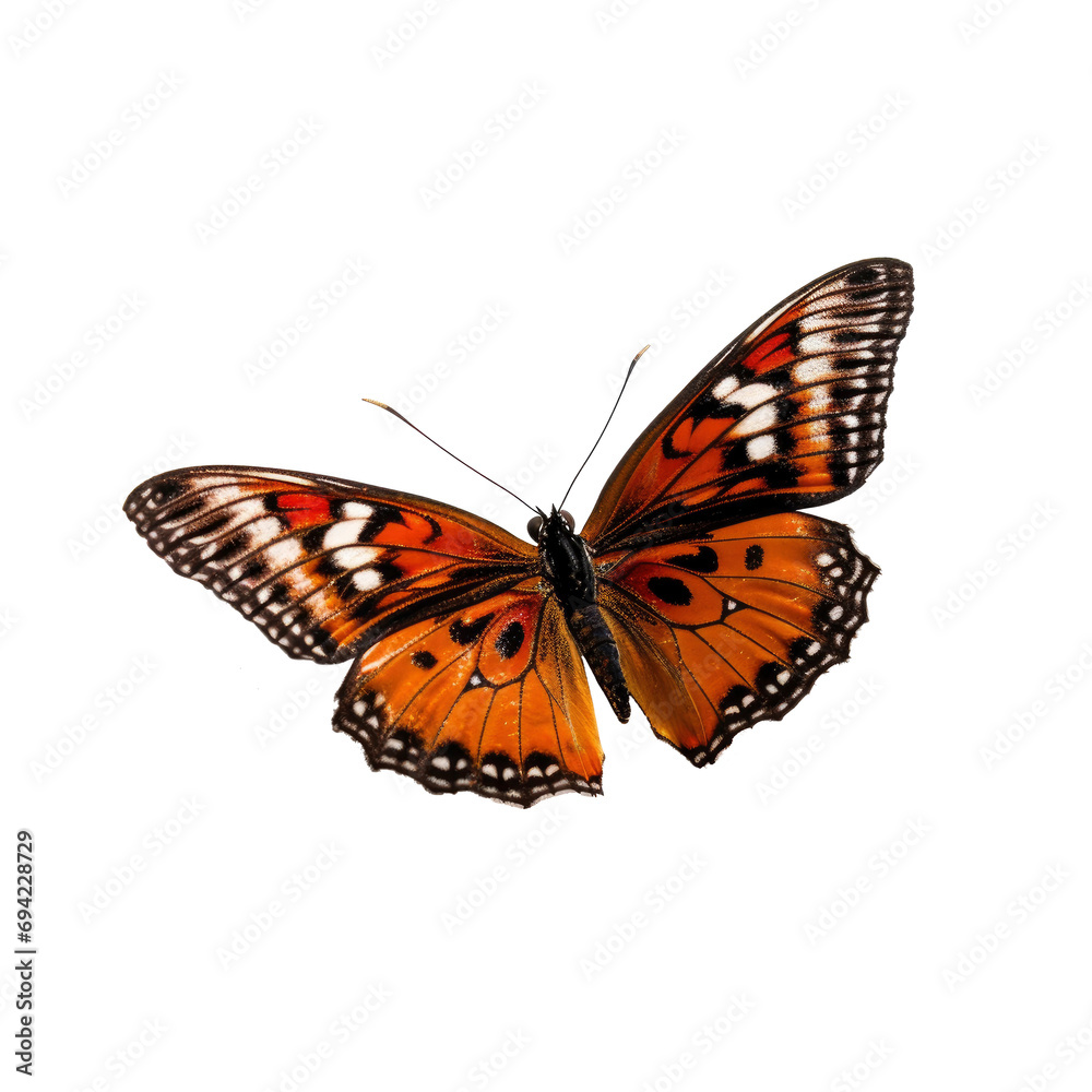 Graceful Butterfly in Side View Isolated on Transparent Background Graceful Butterfly in Side View Isolated on Transparent Background