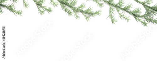 Festive Christmas Background with Pine Branches Transparent © MdKamrul