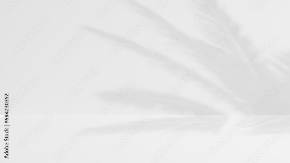 Obraz premium sunshine with shadows from palm leaves in summer 
