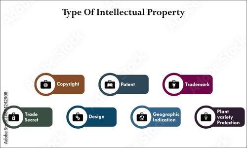 Types of Intellectual Property - Sole proprietorship, Partnership, Limited Partnership, Corporation, Limited liability company, Nonprofit Organization, Cooperative. Infographic template with icons