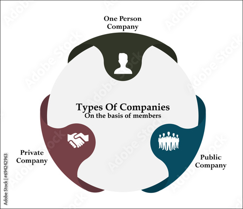 Three types of companies on the basis of member - One person company, Private company, Public company. Infographic template with icons