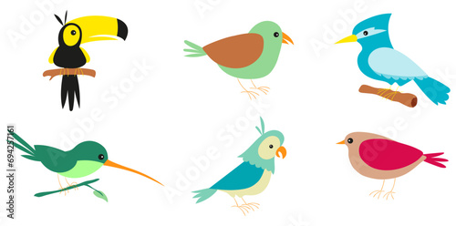 Various Cartoon Birds Vector, Funny Tropical Birds Illustration, Bright Flat Picture For Children. 