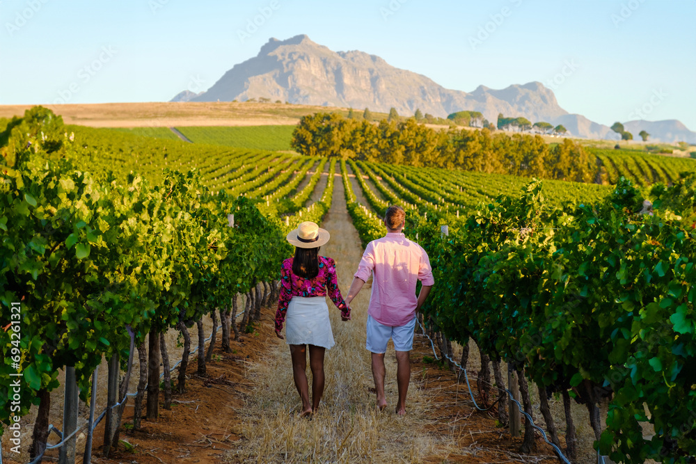 Fototapeta premium Vineyard landscape at sunset with mountains in Stellenbosch Cape Town South Africa. wine grapes on the vine in a vineyard, a couple man and woman walking in a Vineyard in Stellenbosch