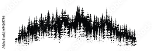 Coniferous forest, natural border, isolated on white background	