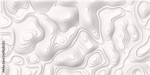 Topographic map. Geographic mountain relief Abstract topographic contours map on concept of a conditional geography. Vector illustration, Topo contour map on white background,