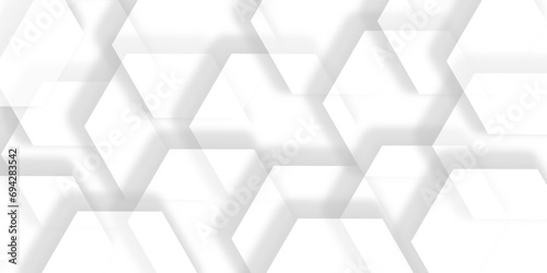 Abstract white and grey geometric hexagon background with shadow. Science Technologic Hexagonal Pattern abstract background with paper texture and futuristic business concept design. 