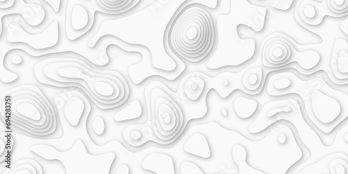 Topographic map. Geographic mountain relief Abstract topographic contours map on concept of a conditional geography. Vector illustration, Topo contour map on white background, photo