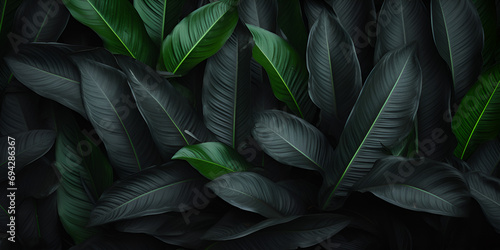 abstrat green and black leaf background,Surreal Leaf Patterns: Green and Black Background,Abstract Green and Black Foliage Canvas 