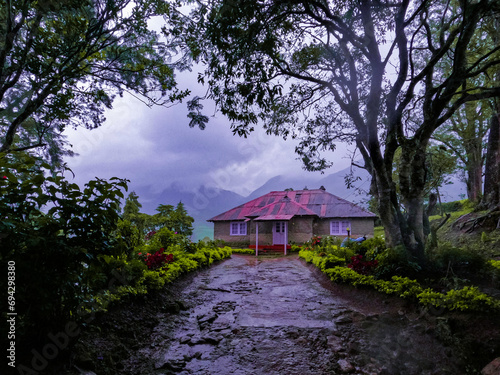 gazebo in the forest