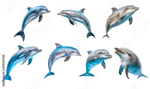 Set of Dolphin isolated 02 cutout on transparent background. advertisement. presentation. poster  sticker.