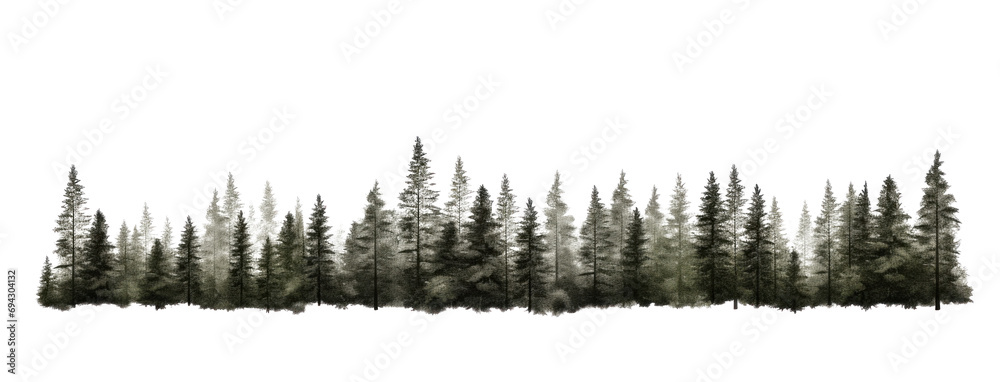 Forest tree line isolated on transparent white background - obrazy, fototapety, plakaty 