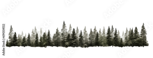 Forest tree line isolated on transparent white background