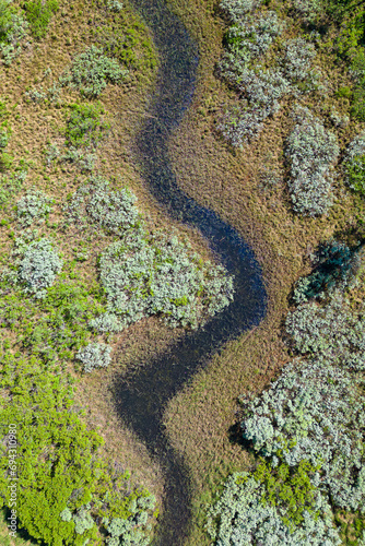 Abstract view of water stream leading through wetland and bushland in sweden