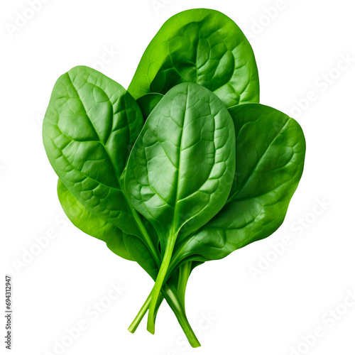 spinach leaves on a transparent background