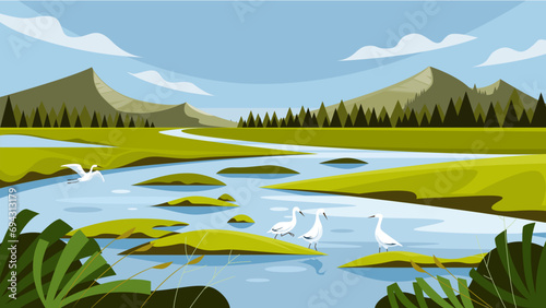 Wetland, swamp, wildlife landscape, vector illustration photo