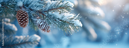 Snow-covered fir branch in the forest. Selective focus.