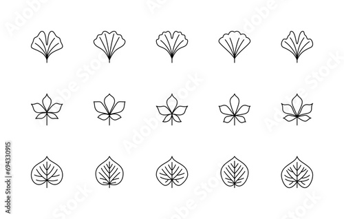 Leaf linear icons vector set. Nature symbols. Ginkgo biloba, chestnut, linden. Leaf linear icons on white background.
