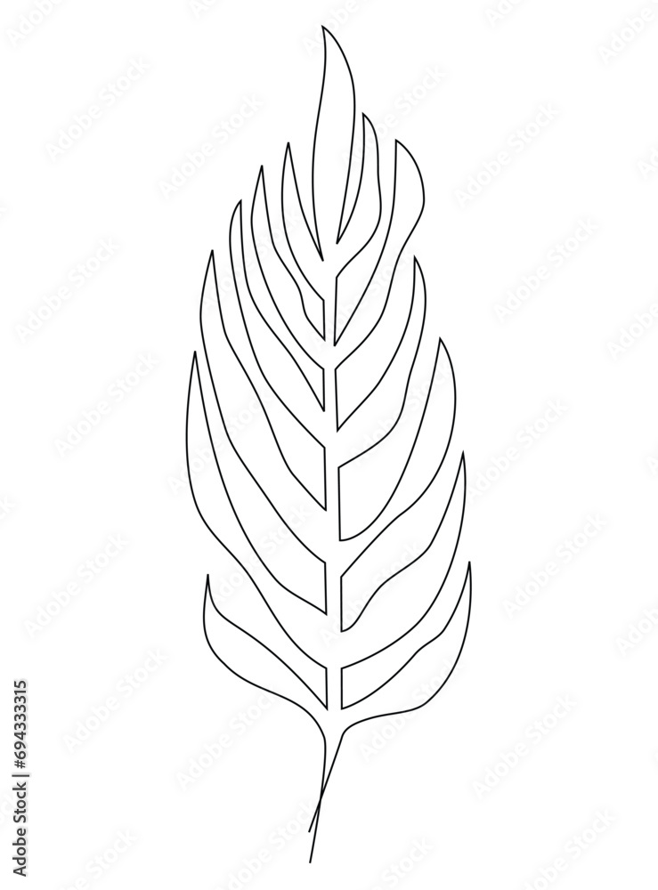 Fototapeta premium Tropical palm leaf line art. Vector illustration isolated on white background.