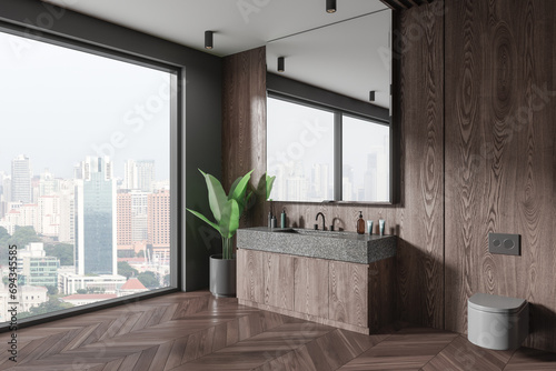 Stylish home bathroom interior with sink and toilet, panoramic window