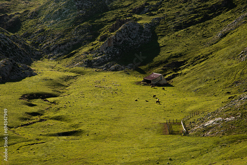 Casa de ganado en medio de la montaña Picos de Europa
