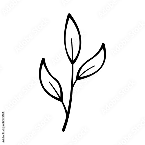 Wild plants